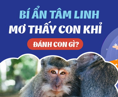 Sổ Mơ Con Khỉ