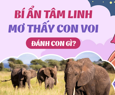 Sổ Mơ Con Voi