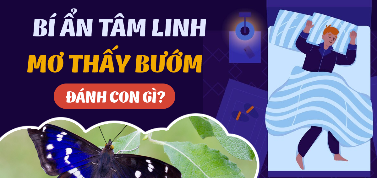 Sổ mơ thấy bướm